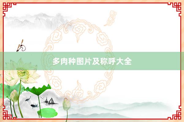 多肉种图片及称呼大全