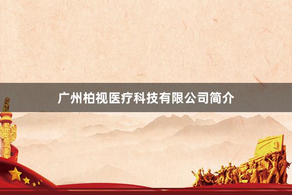 广州柏视医疗科技有限公司简介