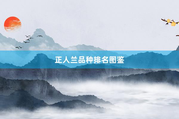 正人兰品种排名图鉴