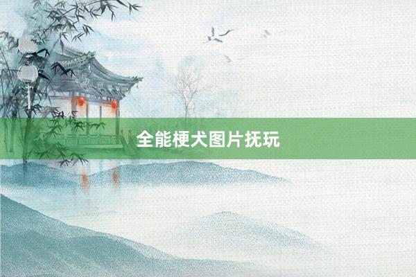 全能梗犬图片抚玩