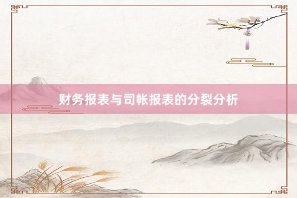 财务报表与司帐报表的分裂分析